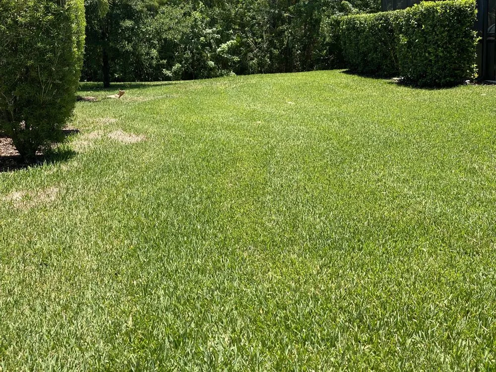 Local outdoor landscaping in Coral Springs, FL by L'evate Lawn Care & Landscaping