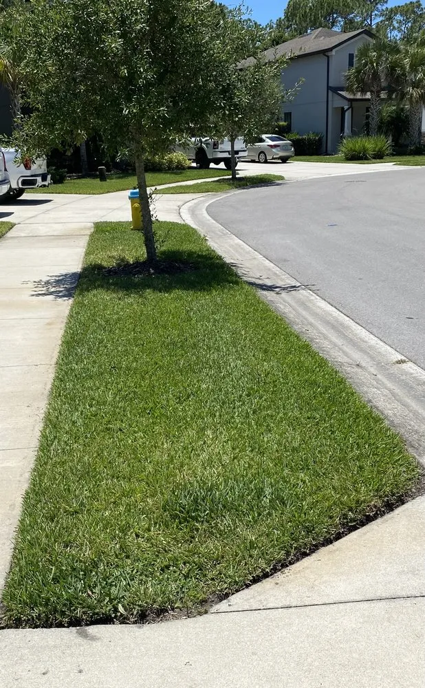 Professional landscape design experts serving Coral Springs, FL - L'evate Lawn Care & Landscaping