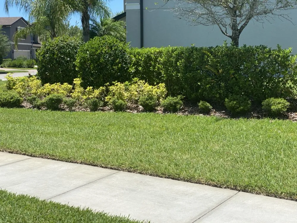 Trusted yard cleanup service for homes in Coral Springs, FL by L'evate Lawn Care & Landscaping