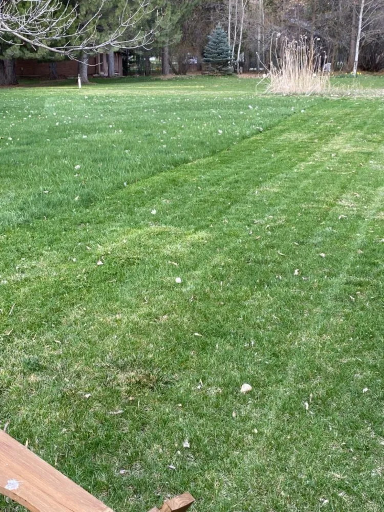 Reliable landscape installation experts serving Wellsville, UT - Level 10 Lawn Care