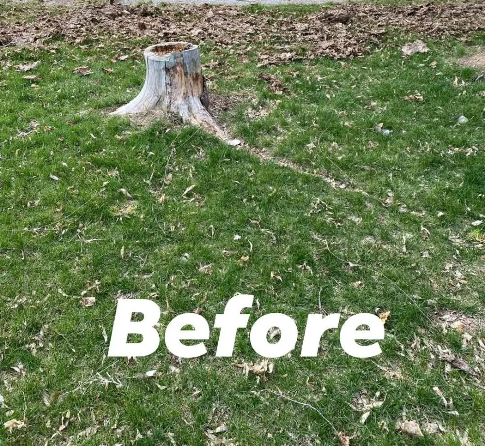 Trusted landscape design in Wellsville, UT - Level 10 Lawn Care