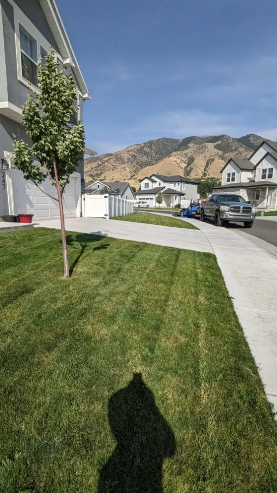 Top-rated yard cleanup service for homes across Wellsville, UT - Level 10 Lawn Care