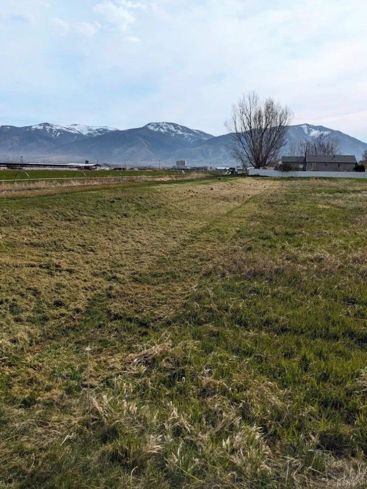 Custom landscaping services for beautiful yards across Wellsville, UT - Level 10 Lawn Care