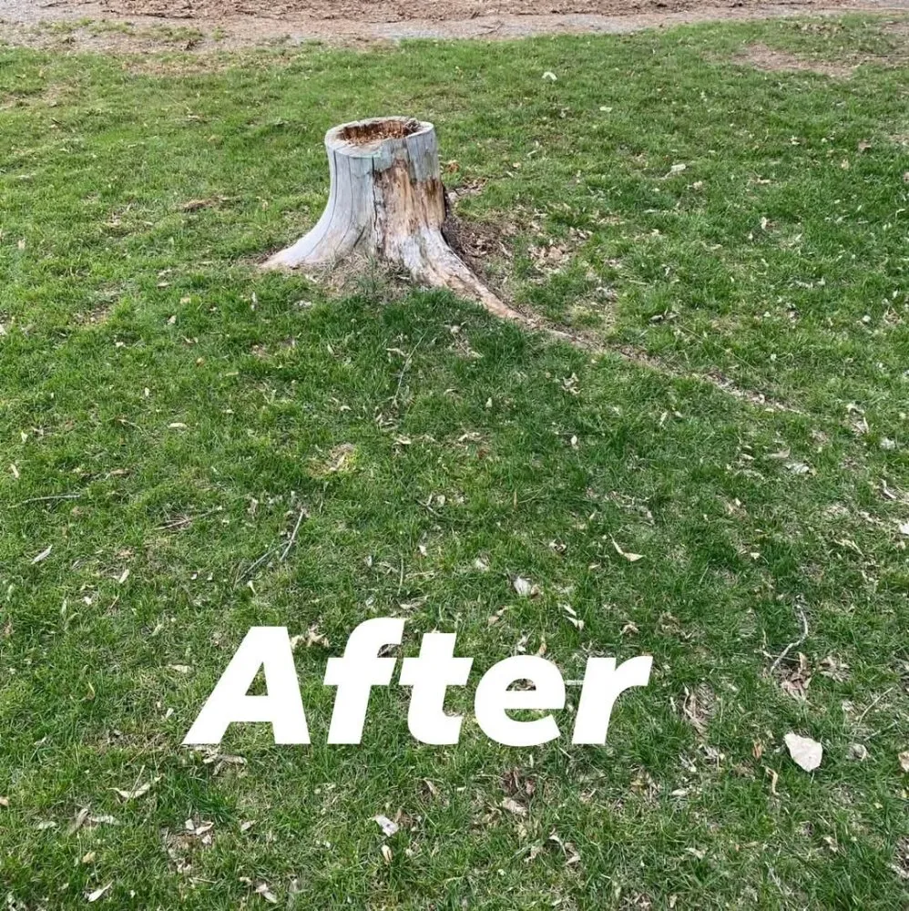 Trusted residential landscaping in Wellsville, UT by Level 10 Lawn Care