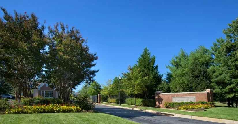 Custom landscape design for outdoor upgrades in Upper Marlboro, MD by Level Green Landscaping