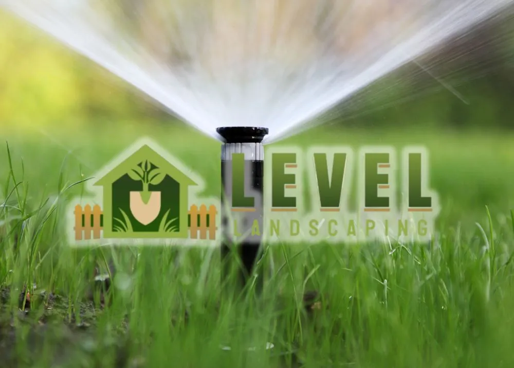 Affordable landscape design in Houston, TX by Level Landscaping