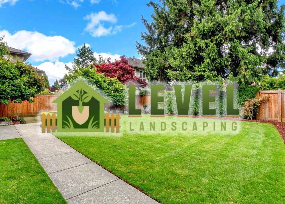Expert yard cleanup service in Houston, TX - Level Landscaping