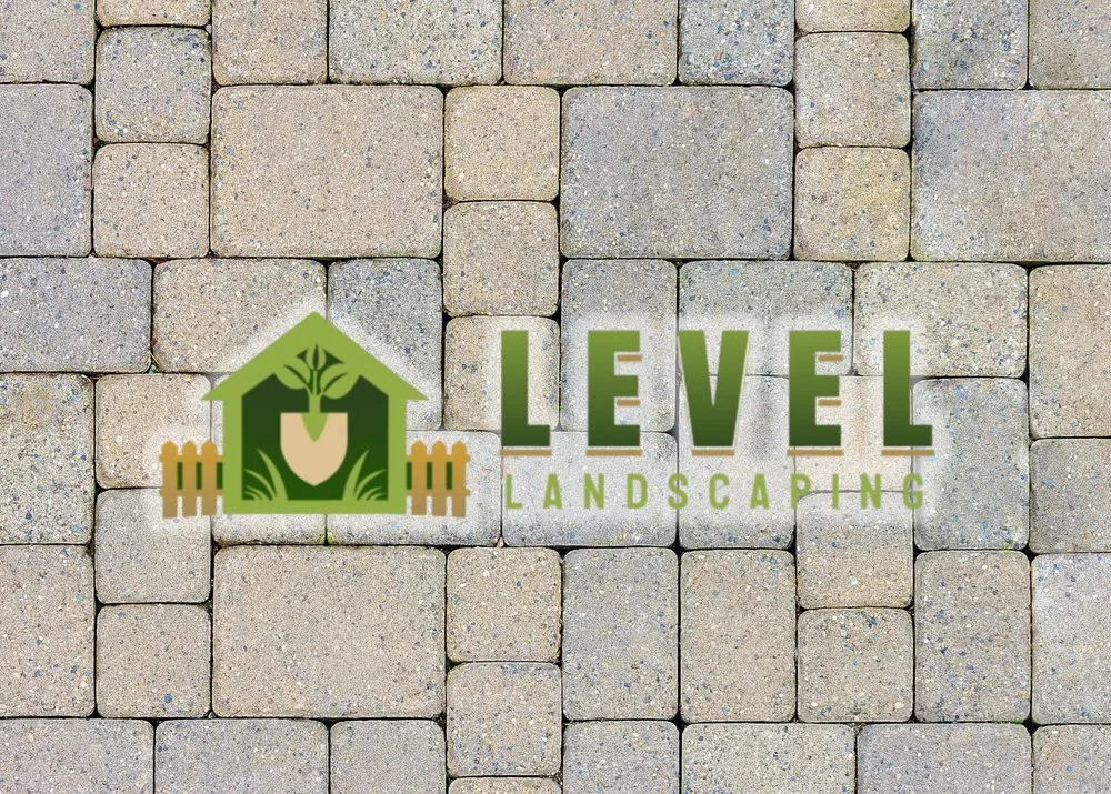 Local yard cleanup service experts serving Houston, TX - Level Landscaping