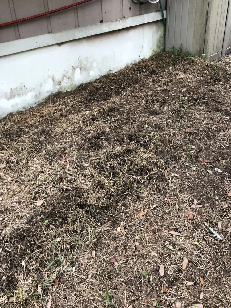 Professional residential landscaping in Jacksonville, FL - Level Lawn