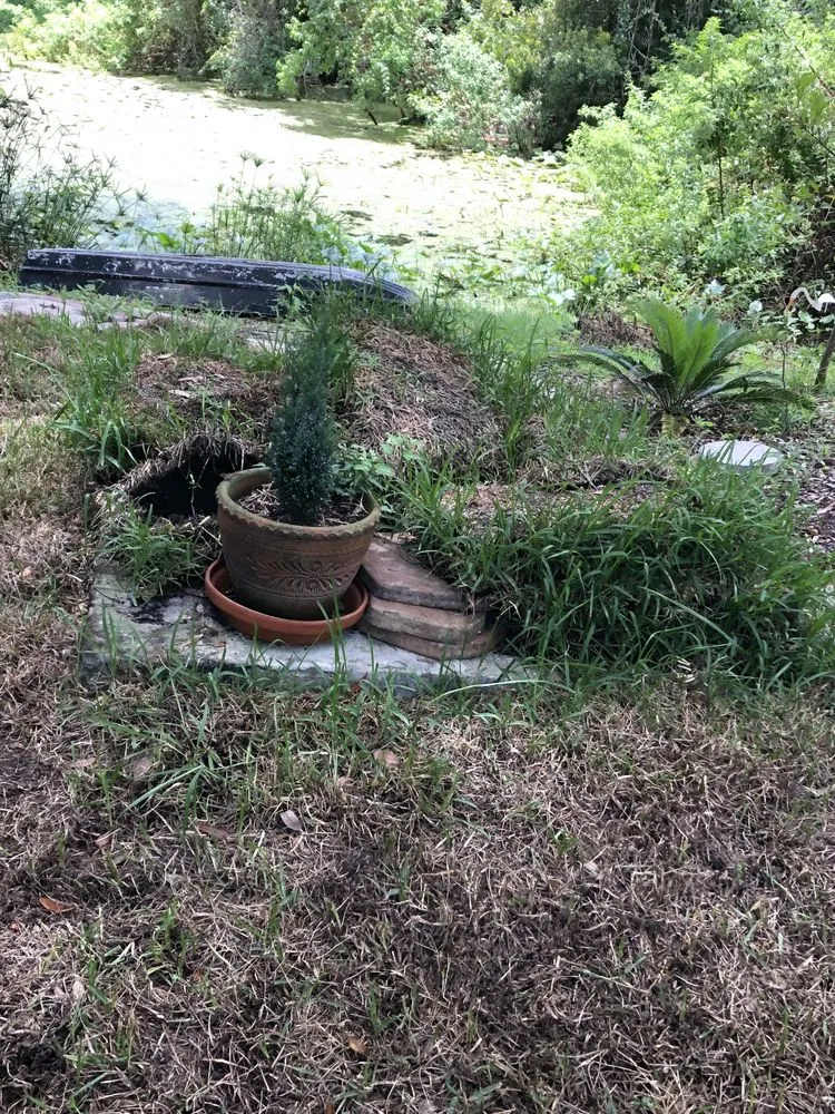 Reliable garden landscaping near you across Jacksonville, FL - Level Lawn