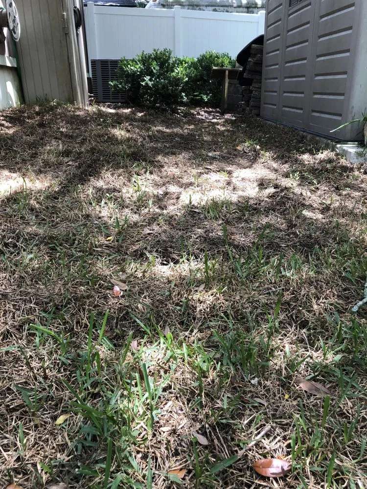 Affordable yard cleanup service in Jacksonville, FL - Level Lawn