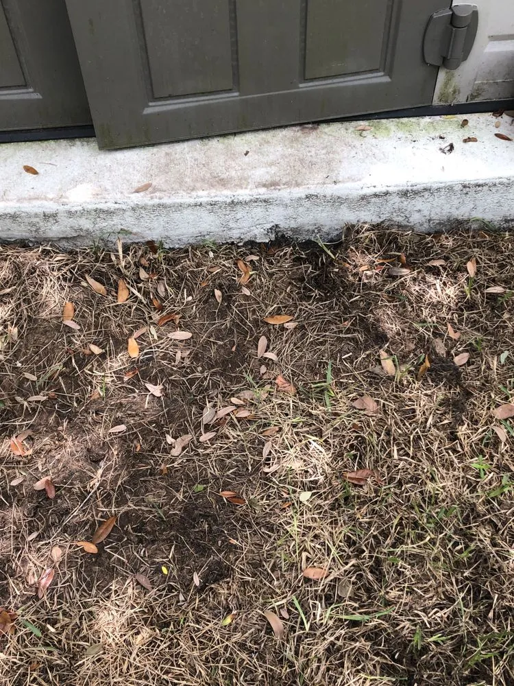 Expert yard cleanup service in Jacksonville, FL by Level Lawn