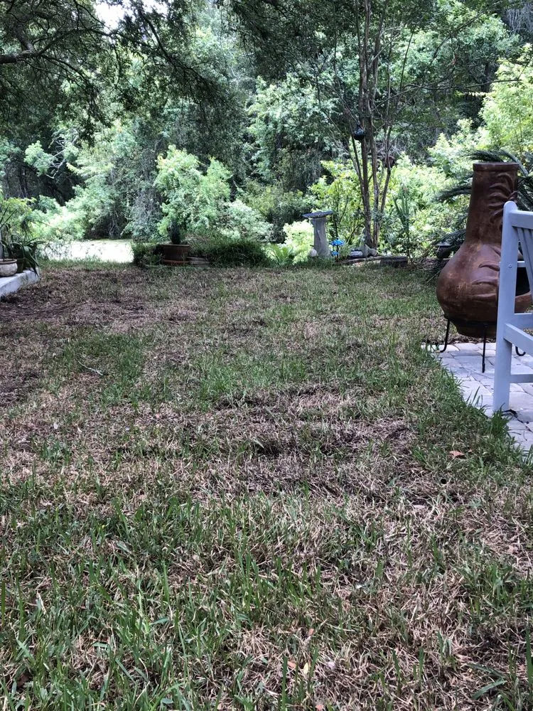 Top-rated outdoor landscaping for homes across Jacksonville, FL - Level Lawn