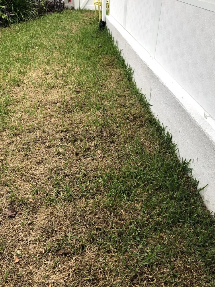 Affordable landscape installation near you across Jacksonville, FL - Level Lawn