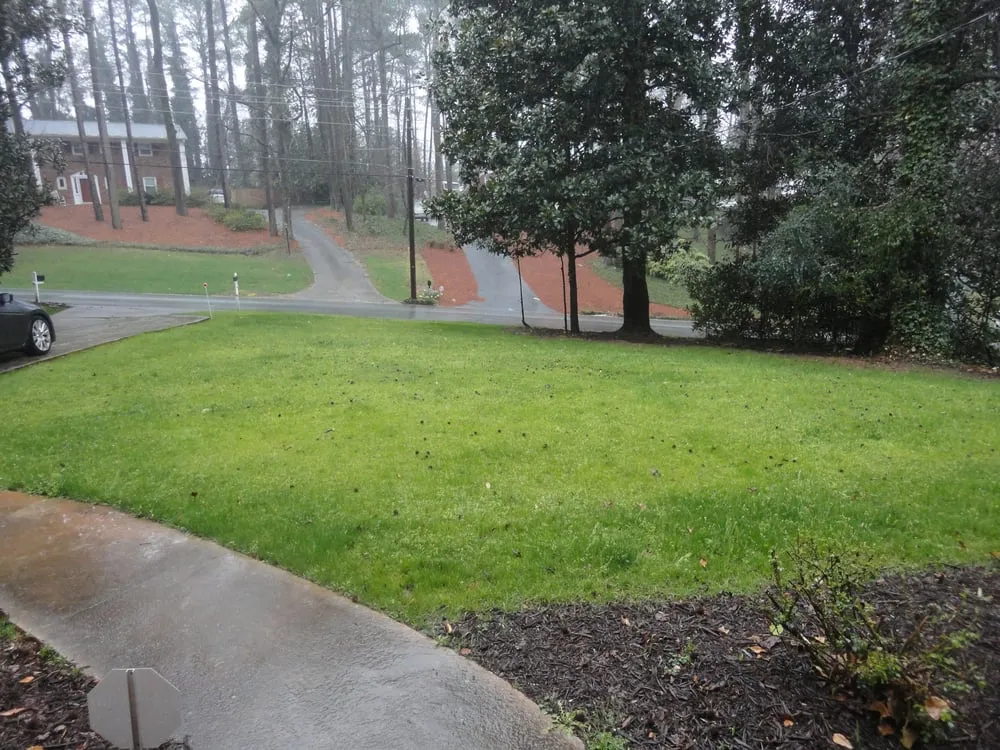 Local lawn care service for beautiful yards across Marietta, GA - Level Lawns