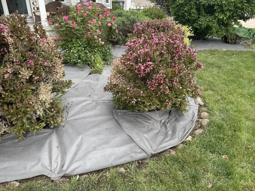 Professional landscape installation experts serving Des Moines, IA - Level Up