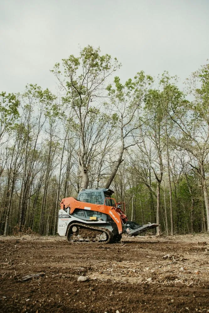 Affordable landscaping services for year-round maintenance across Lebanon, MO - Level Up Land and Habitat Solutions