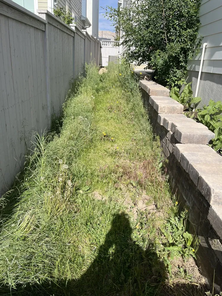 Top-rated landscape installation in South Jordan, UT - Level Up Landscape