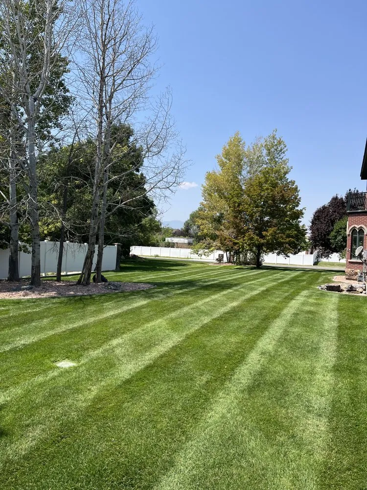 Expert yard cleanup service in South Jordan, UT - Level Up Landscape