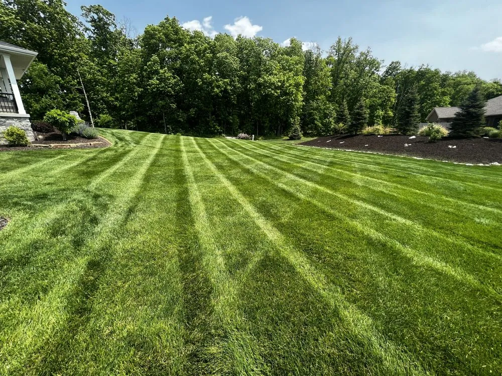 Top-rated lawn care service experts serving Huntertown, IN - Level Up Landscaping
