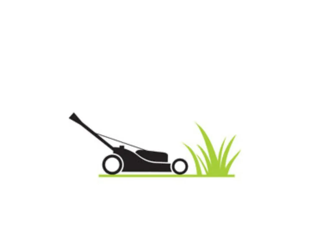 Affordable landscaping services for outdoor upgrades in Magnolia, TX by Level Up Landscaping