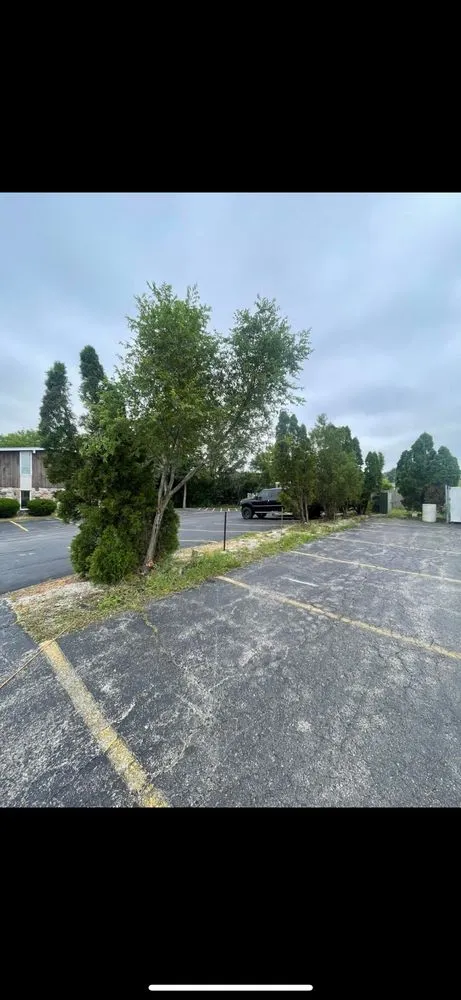 Expert garden landscaping experts serving East Troy, WI - Level Up Lawn Care