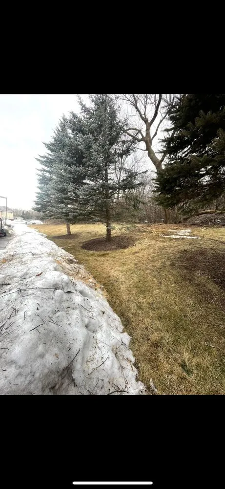 Professional landscape installation in East Troy, WI - Level Up Lawn Care