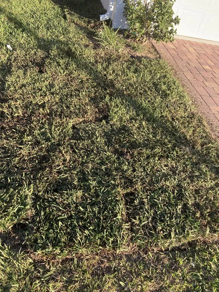 Reliable landscape design in Haines City, FL - Level Up Lawn Service & Landscaping