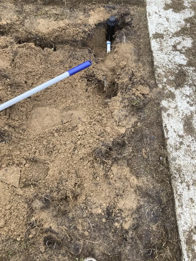 Local outdoor landscaping for beautiful yards in Haines City, FL by Level Up Lawn Service & Landscaping