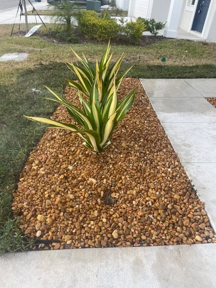 Professional residential landscaping in Haines City, FL by Level Up Lawn Service & Landscaping