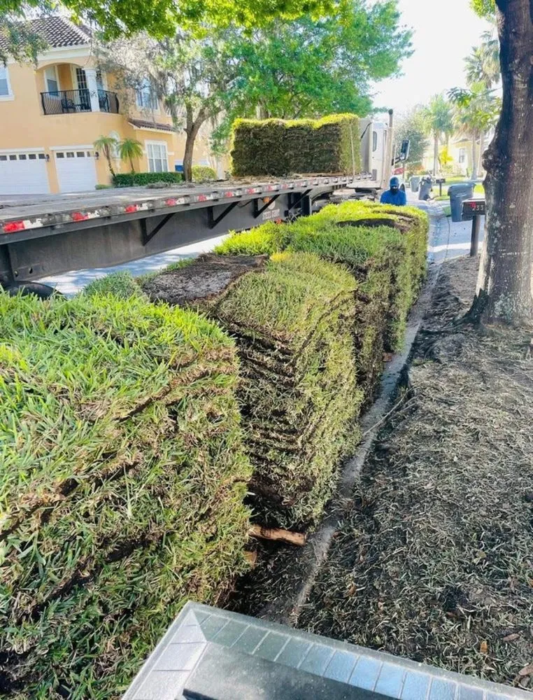 Expert residential landscaping for beautiful yards across Haines City, FL - Level Up Lawn Service & Landscaping