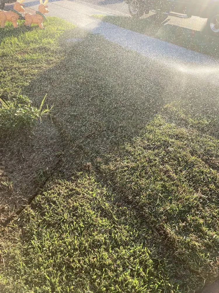 Custom landscape design for homes across Haines City, FL - Level Up Lawn Service & Landscaping