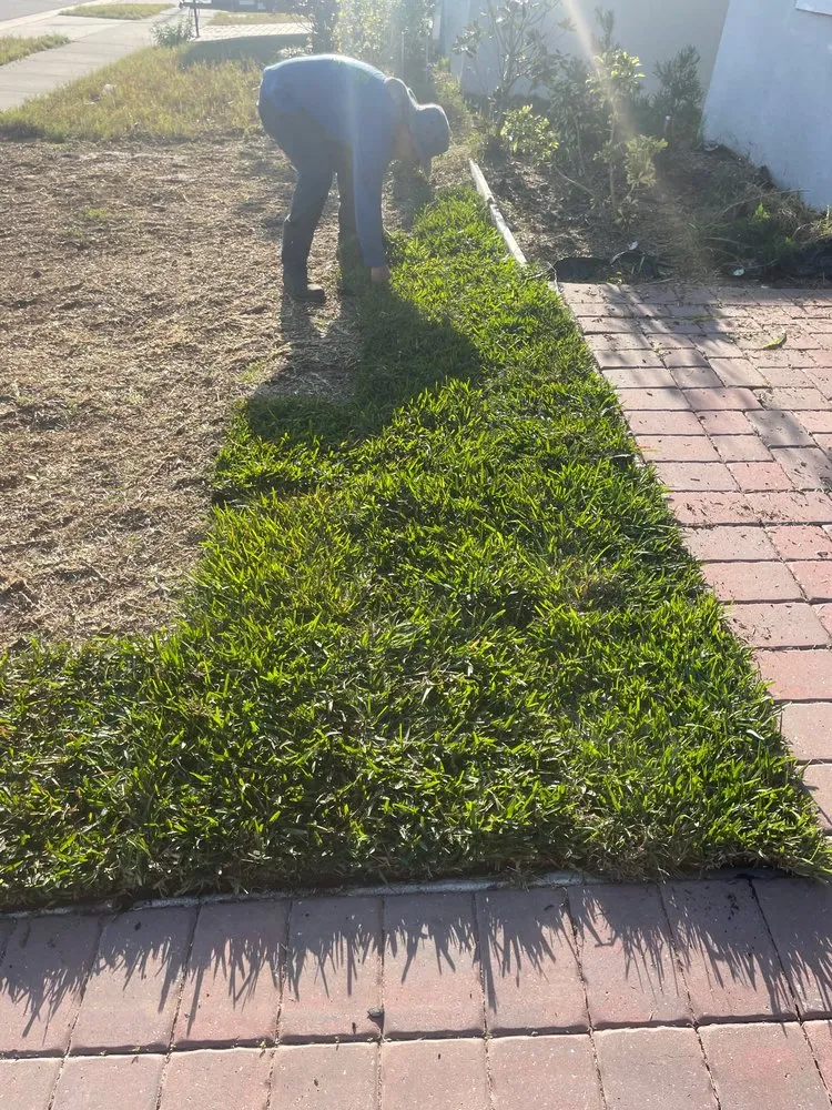 Local landscaping services experts serving Haines City, FL - Level Up Lawn Service & Landscaping