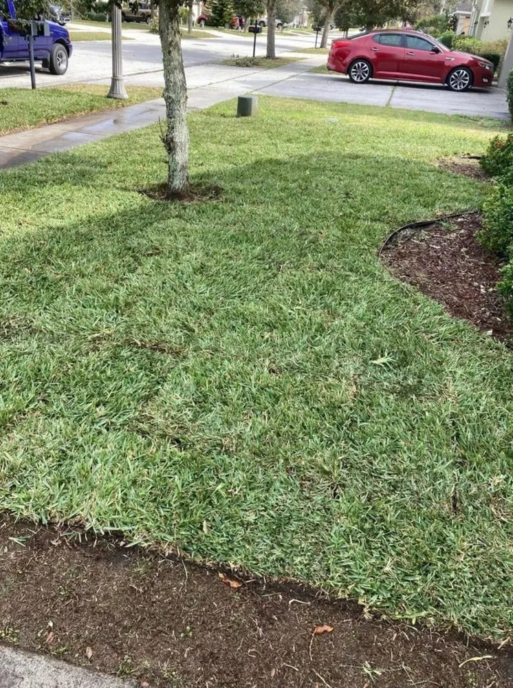 Top-rated yard cleanup service for beautiful yards in Haines City, FL by Level Up Lawn Service & Landscaping