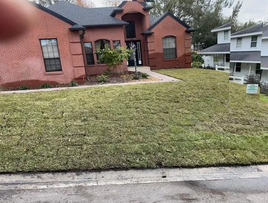 Level Up Lawn Service & Landscaping