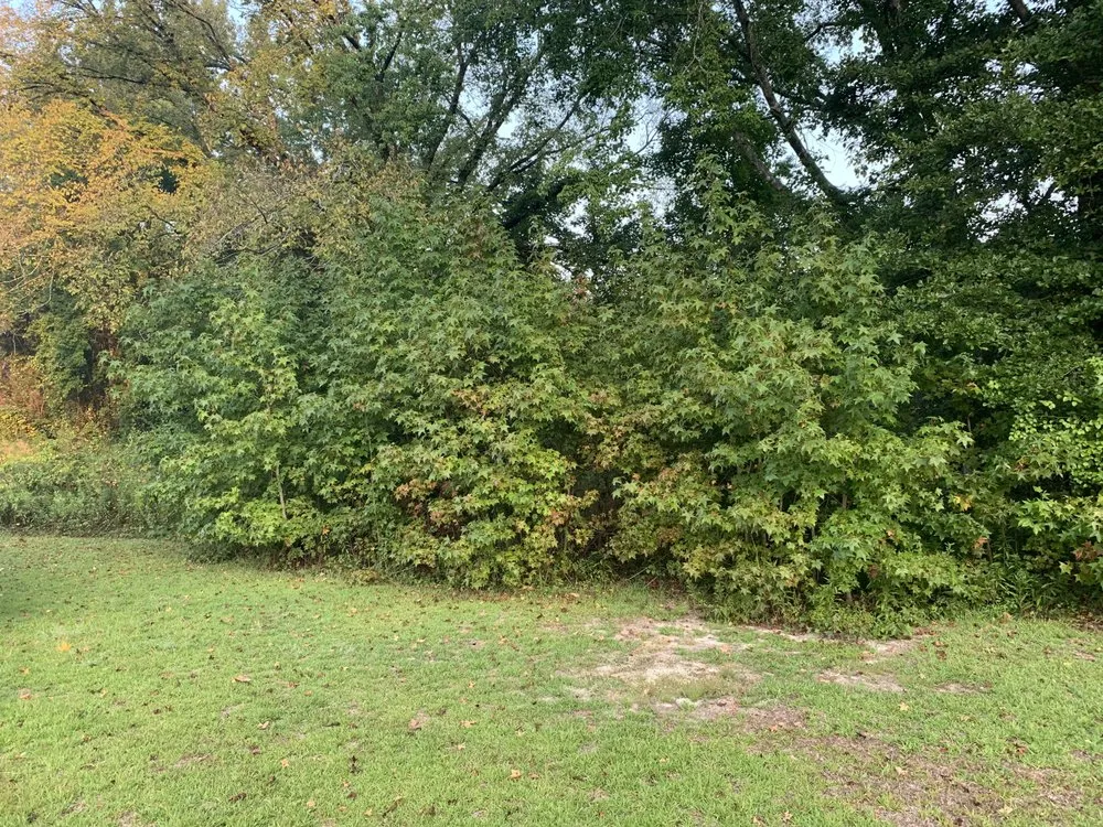 Expert landscape design in Roseboro, NC by Leveled Up Excavation and Landscaping