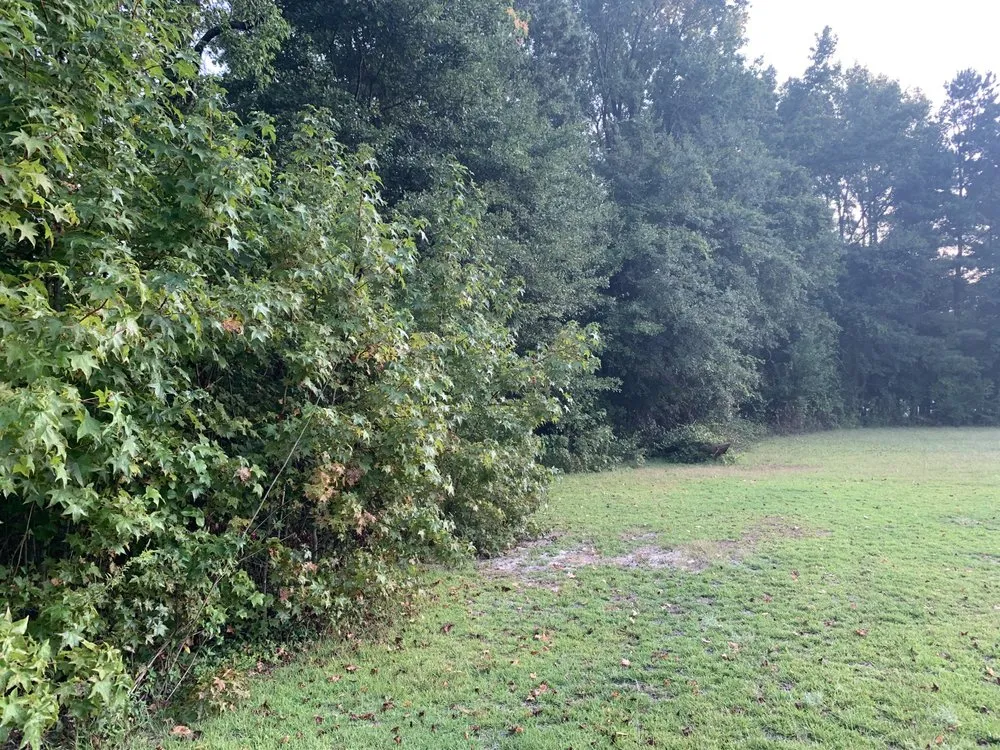 Reliable outdoor landscaping for year-round maintenance in Roseboro, NC by Leveled Up Excavation and Landscaping