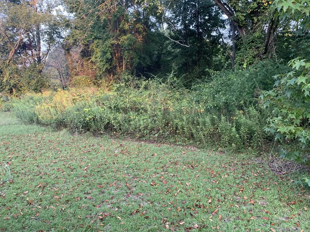 Custom residential landscaping in Roseboro, NC - Leveled Up Excavation and Landscaping