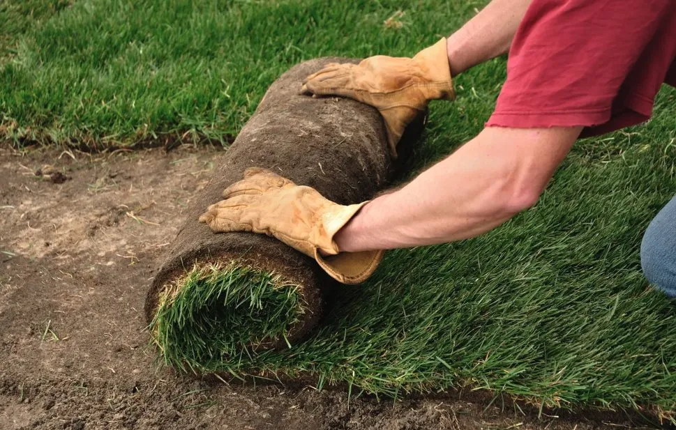 Trusted landscaping services experts serving Cullman, AL - Leveled Up Excavation