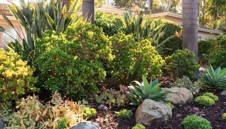 Custom landscaping services in Cullman, AL - Leveled Up Excavation