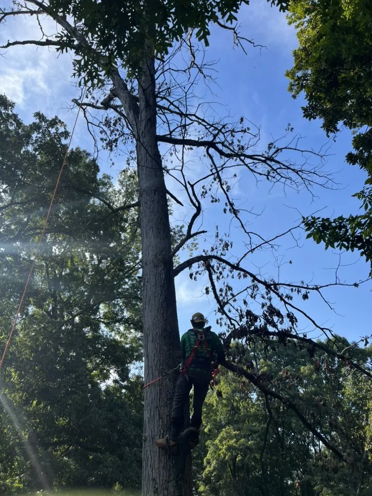Top-rated landscape design with custom design in Roanoke, VA by Leveled Weeds