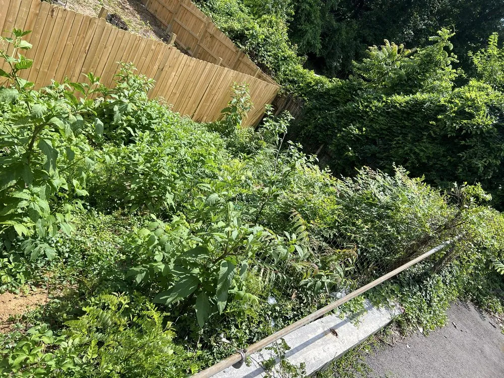 Affordable outdoor landscaping in Roanoke, VA - Leveled Weeds