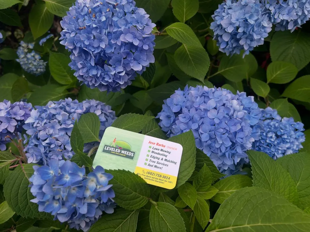 Local garden landscaping in Roanoke, VA by Leveled Weeds