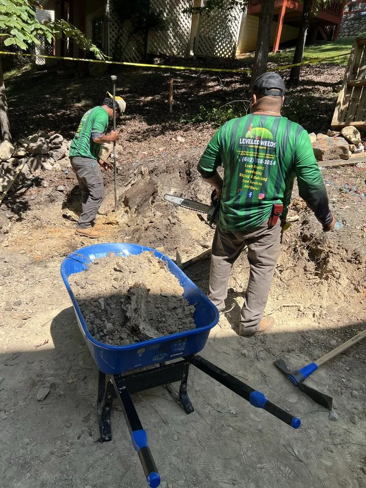 Custom yard cleanup service for year-round maintenance in Roanoke, VA by Leveled Weeds