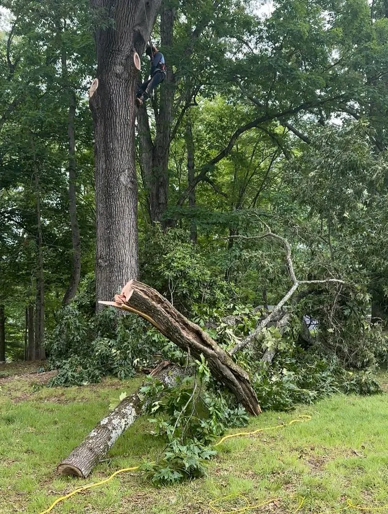 Reliable landscape installation experts serving Roanoke, VA - Leveled Weeds