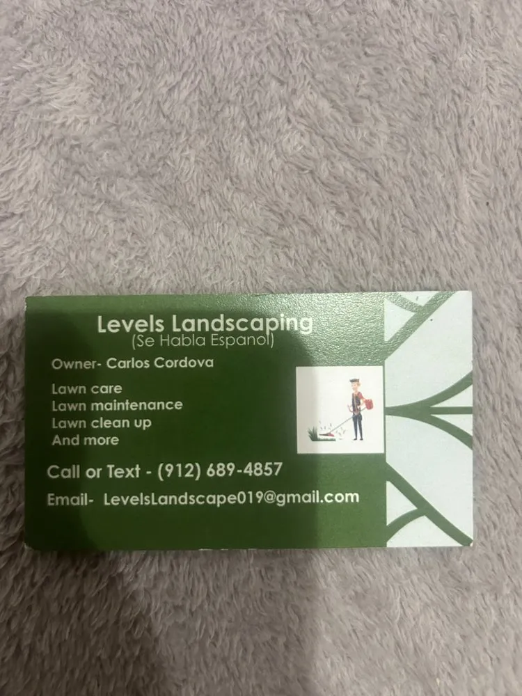 Local yard cleanup service in Brunswick, GA - Levels Landscaping