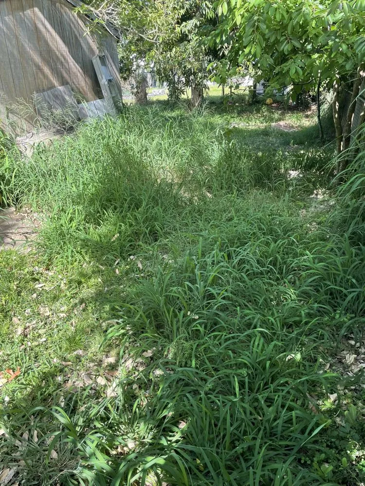 Affordable garden landscaping near you in Vero Beach, FL by Levels Up