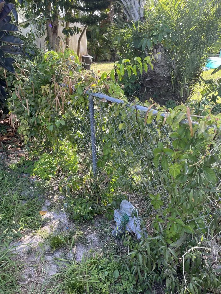 Expert residential landscaping experts serving Vero Beach, FL - Levels Up