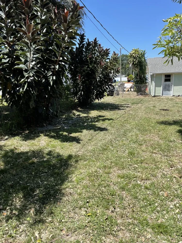 Affordable lawn mowing service in Vero Beach, FL - Levels Up