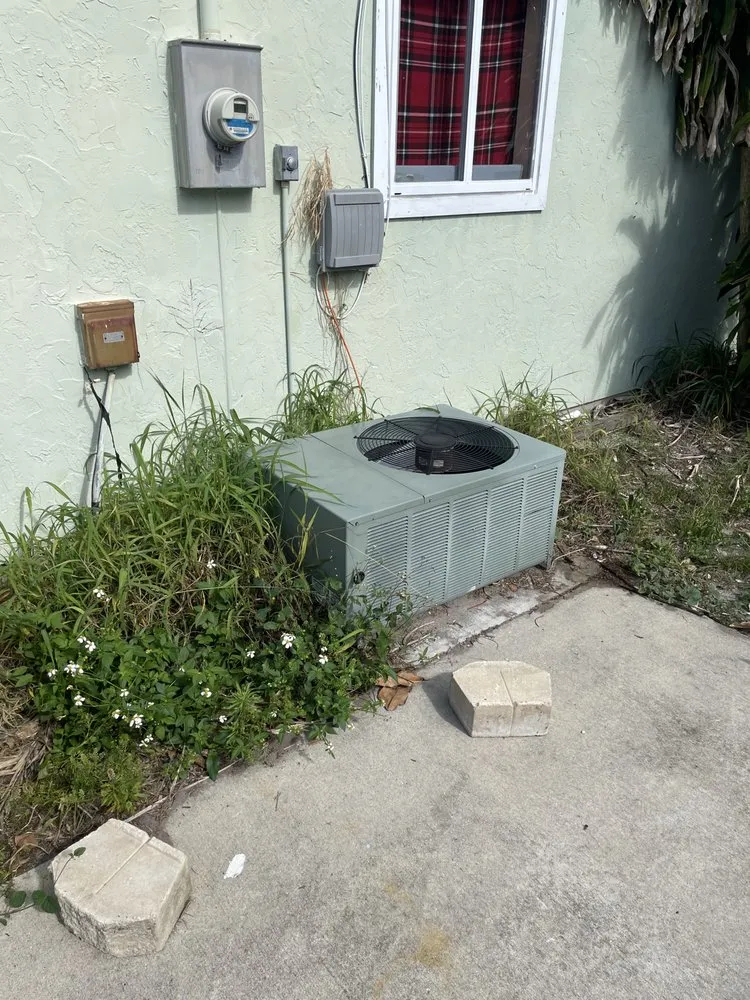 Professional landscape installation in Vero Beach, FL by Levels Up